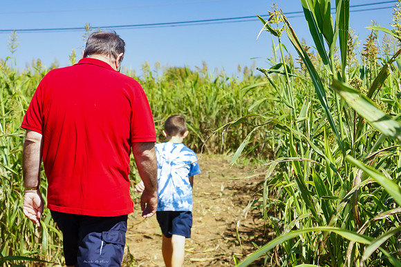 Portrait Photography - Lost in the Corn Maze - Indian Trail North Carolina