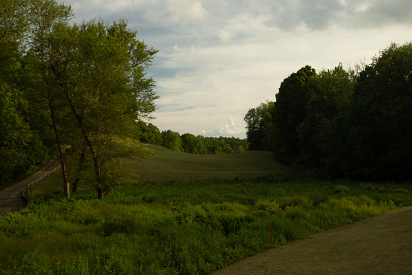 Golfcourse Before-4